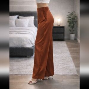 Express Rust Wide-Leg Pants Satin Like Front Pleat Smocked 6R/M
